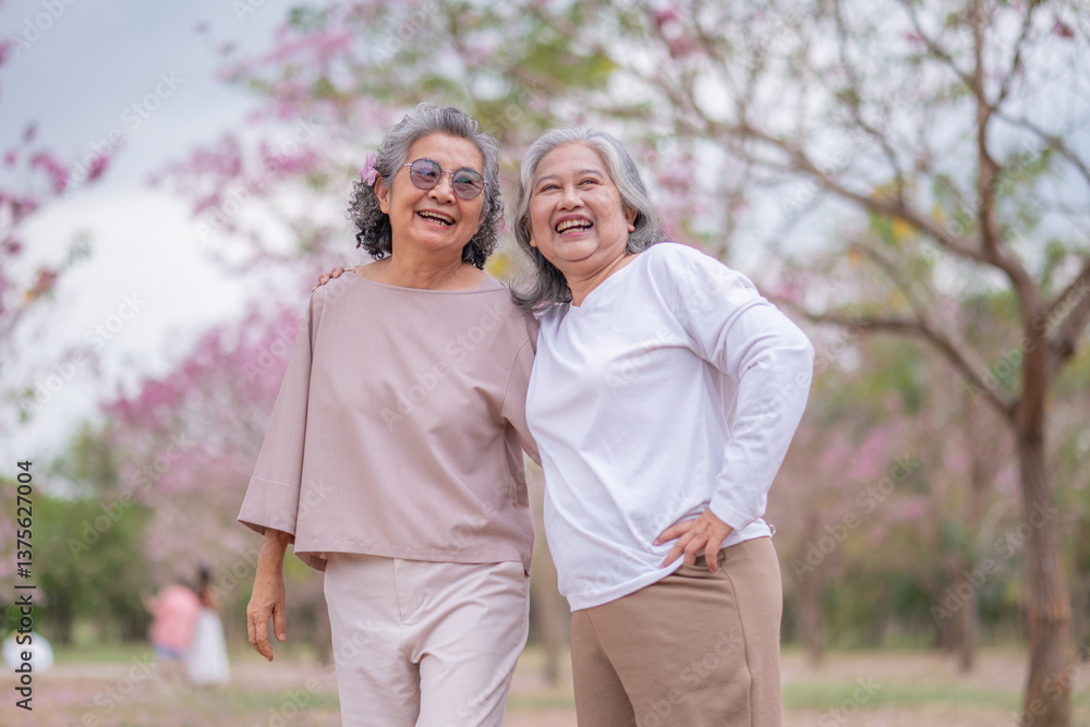Elderly women with gray hair enjoying a beautiful moment together Elderly women with gray hair enjoying a beautiful moment together