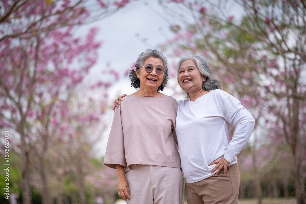 Elderly women with gray hair enjoying a beautiful moment together Elderly women with gray hair enjoying a beautiful moment together