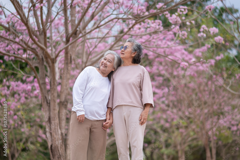 Elderly women with gray hair enjoying a beautiful moment together Elderly women with gray hair enjoying a beautiful moment together