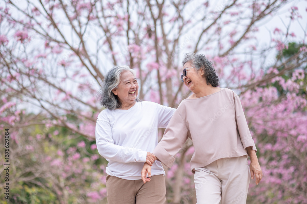 Elderly women with gray hair enjoying a beautiful moment together Elderly women with gray hair enjoying a beautiful moment together