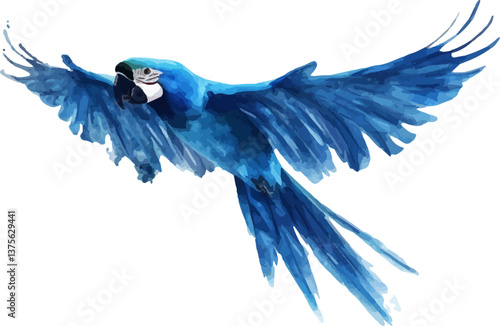 Vector illustration of flying parrot watercolor on white background