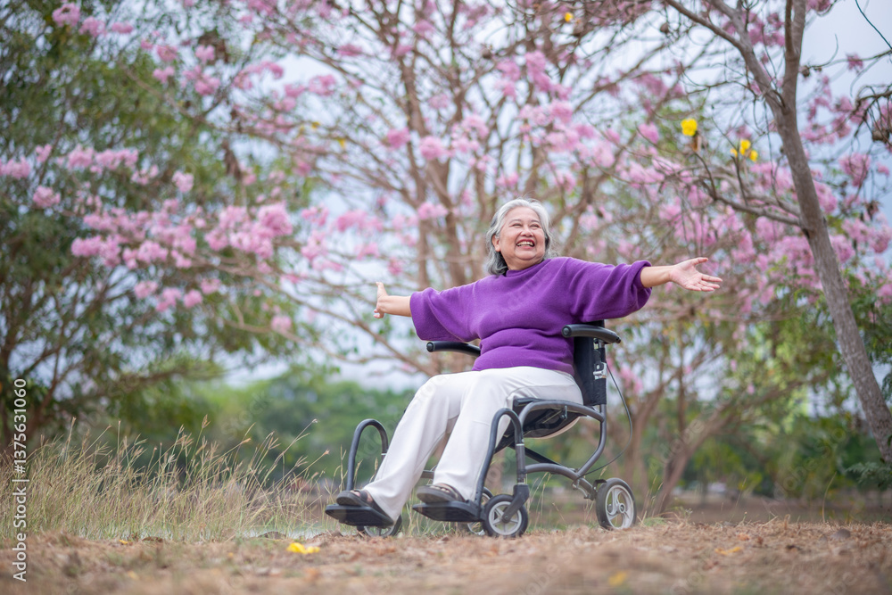 Women in beautiful outdoor setting surrounded by pink blossoms seated in a wheelchair Women in beautiful outdoor setting surrounded by pink blossoms seated in a wheelchair