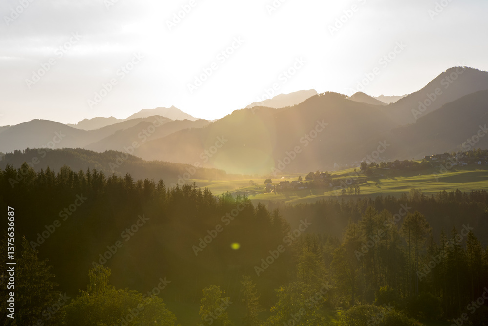 Grüne Wiese, Steiermark, Österreich, 2015, Thal