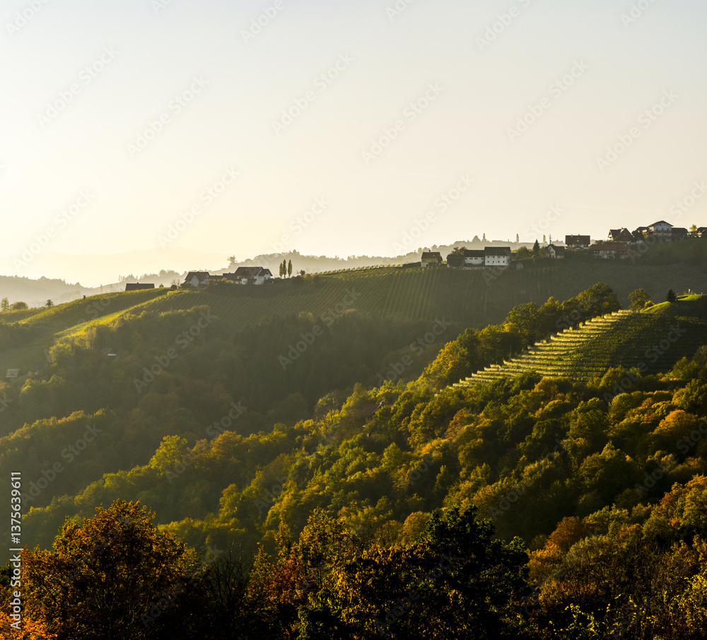 Römerstrasse, Weinbaugebiet Sausal, Steiermark, Österreich, 20