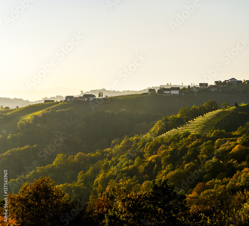 Obraz na płótnie Römerstrasse, Weinbaugebiet Sausal, Steiermark, Österreich, 20 w salonie