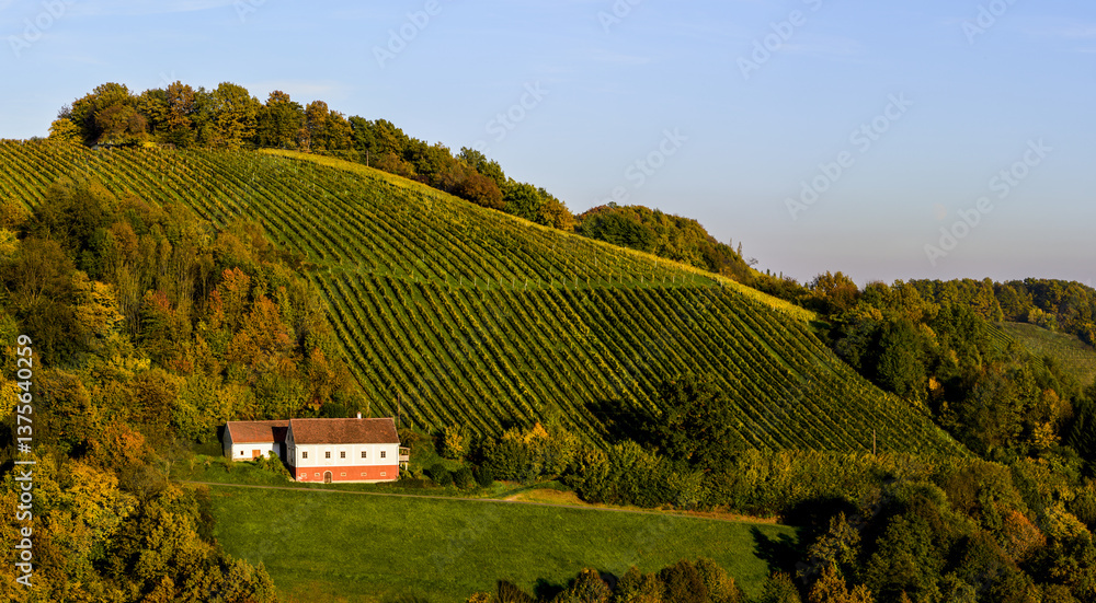 Römerstrasse, Weinbaugebiet Sausal, Steiermark, Österreich, 20