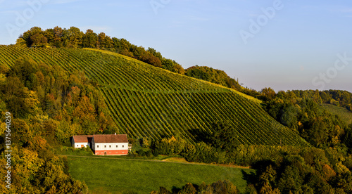 Obraz na płótnie Römerstrasse, Weinbaugebiet Sausal, Steiermark, Österreich, 20 w salonie