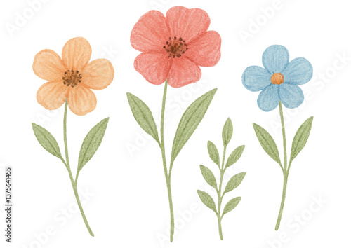 色鉛筆風の花のイラスト素材