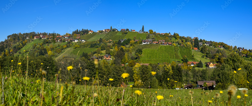 Schilcher Weinstrasse, Sankt Stefan ob Stainz, Steiermark, Öste