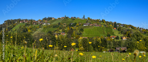 Obraz na płótnie Schilcher Weinstrasse, Sankt Stefan ob Stainz, Steiermark, Öste w salonie