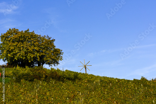 Obraz na płótnie Weingut Stöckl Peter, Schilcher Weinstrasse, Deutschlandsberg, w salonie