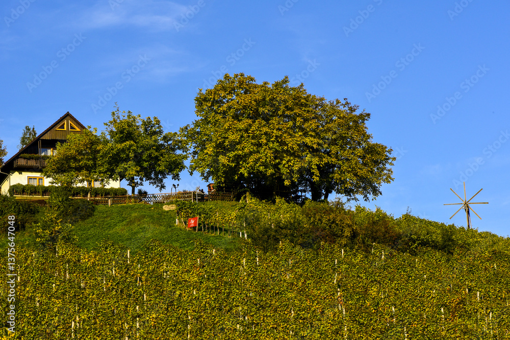 Weingut Stöckl Peter, Schilcher Weinstrasse, Deutschlandsberg,