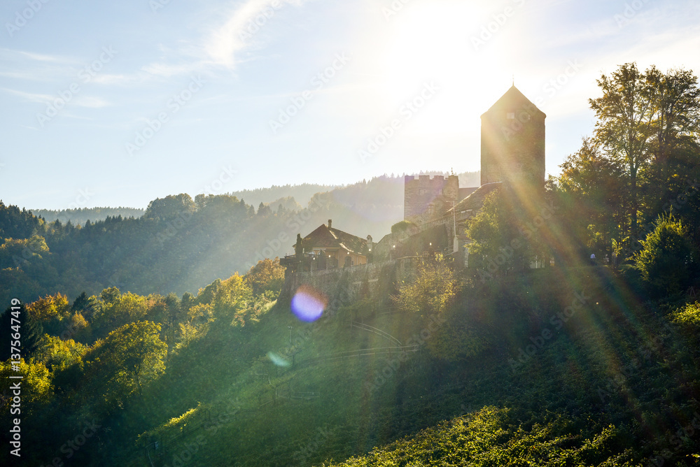 Schilcher Weinstrasse, Deutschlandsberg, Steiermark, Österreich