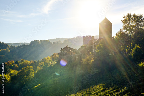 Obraz na płótnie Schilcher Weinstrasse, Deutschlandsberg, Steiermark, Österreich w salonie