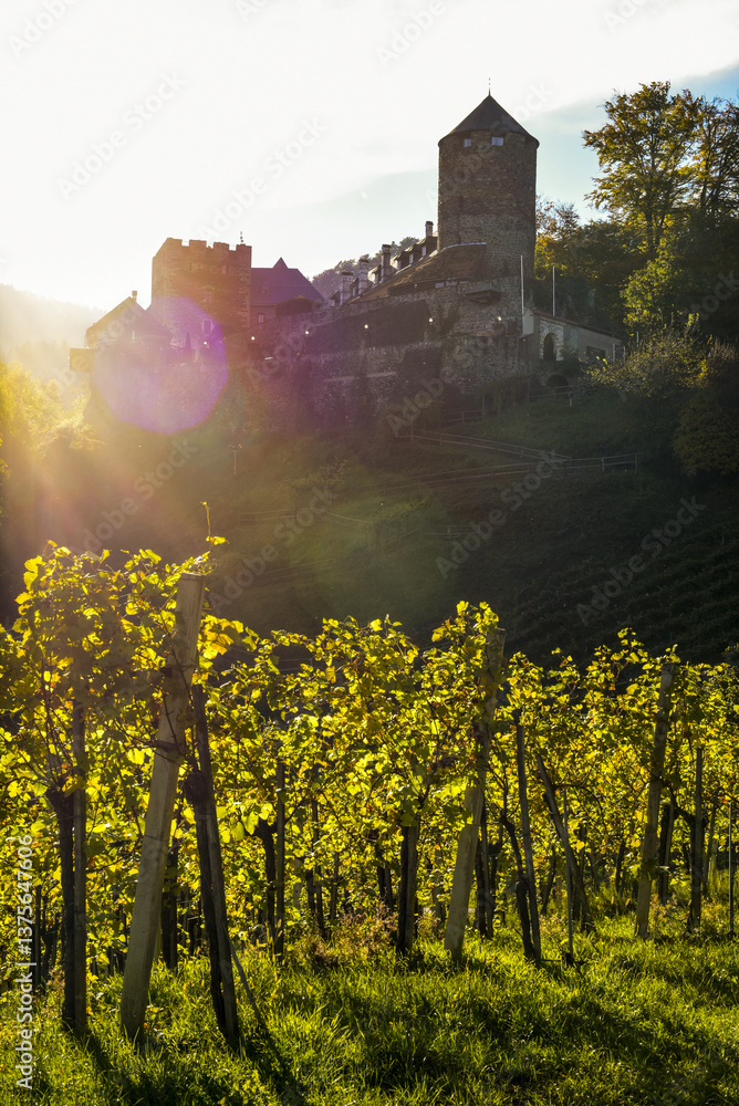 Schilcher Weinstrasse, Deutschlandsberg, Steiermark, Österreich