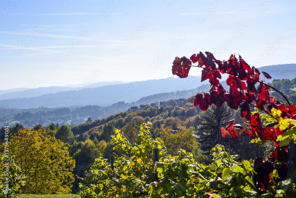 Schilcher Weinstrasse, Steiermark, Österreich, 2015, Stainz