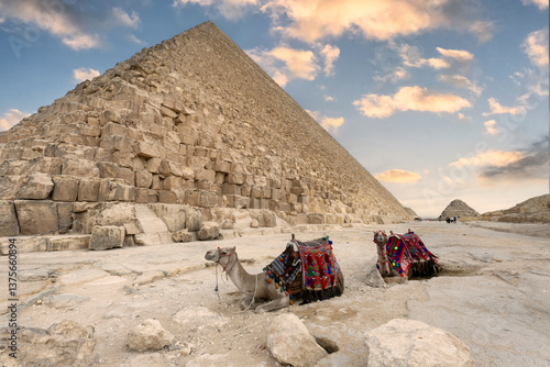 Camels in a colorful horse-clothes resting on the sand near to pyramids, Giza, Cairo, Egypt. Famous Great Pyramids of Chephren and Cheops, Giza pyramid complex (Giza Necropolis)