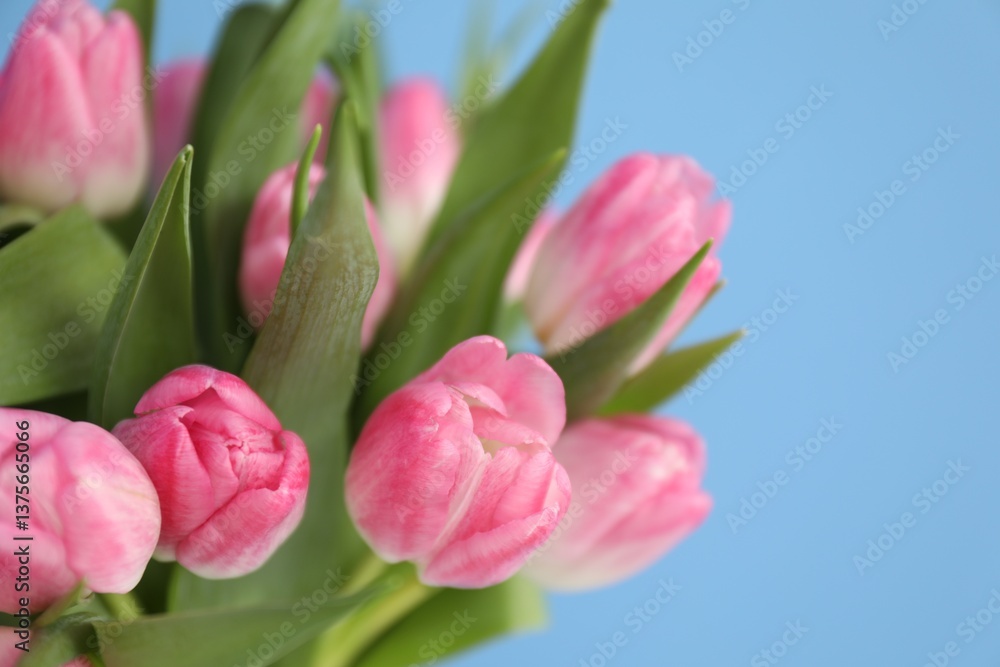 Fototapeta premium Bouquet of beautiful tulips on light blue background, closeup. Space for text