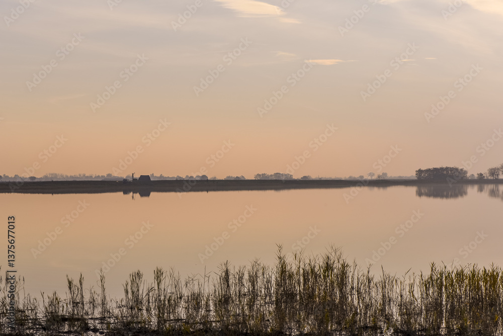 Pannonnisch, Seewinkel, Burgenland, Österreich