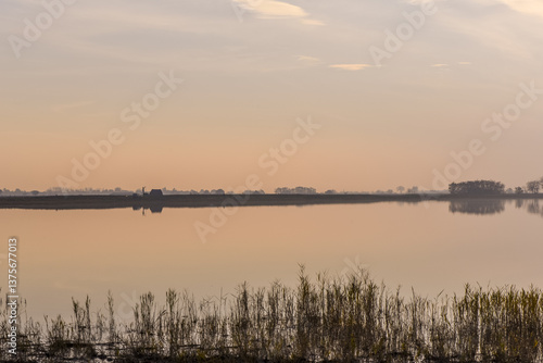 Pannonnisch, Seewinkel, Burgenland, Österreich