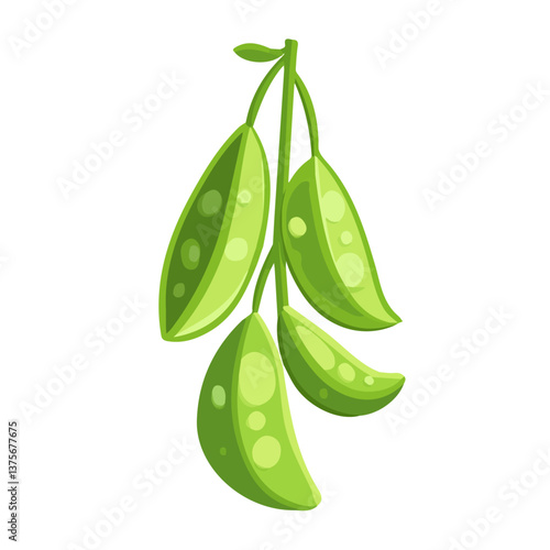 Flat vector pea pod, minimalist design, isolated on a white background.

