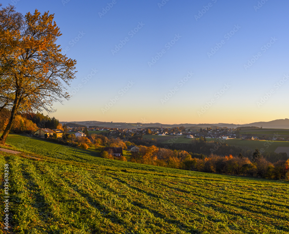 Rosalia, Bucklige Welt, NIederösterreich, Österreich