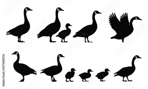 Cartoon set of domestic and wild geese with cute illustrations and silhouettes of birds and animals in a vector style