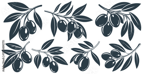 Olive branches, ripening olives against neutral background, representing agricultural harvest and mediterranean culinary traditions