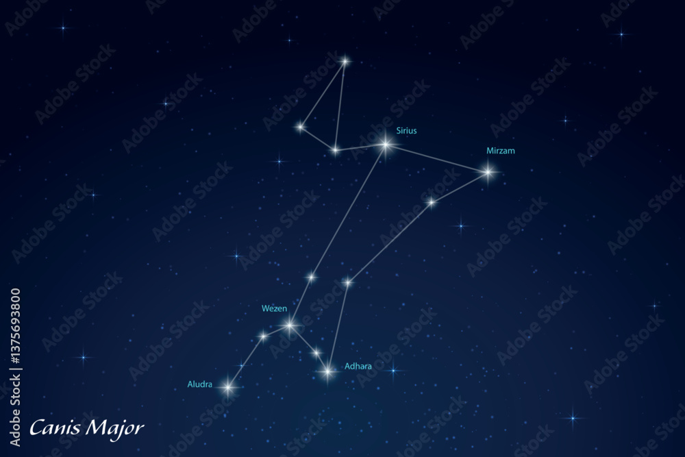 Canis Major Constellation with Star Names in Night Sky