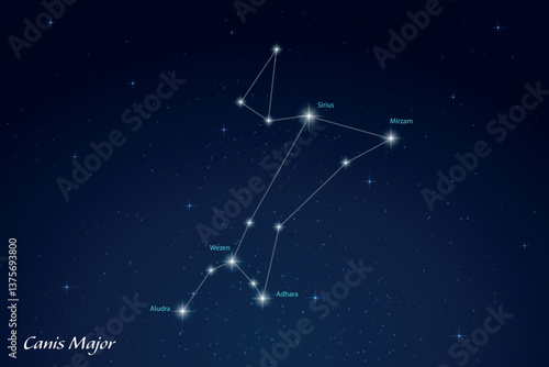 Obraz na płótnie Canis Major Constellation with Star Names in Night Sky w salonie