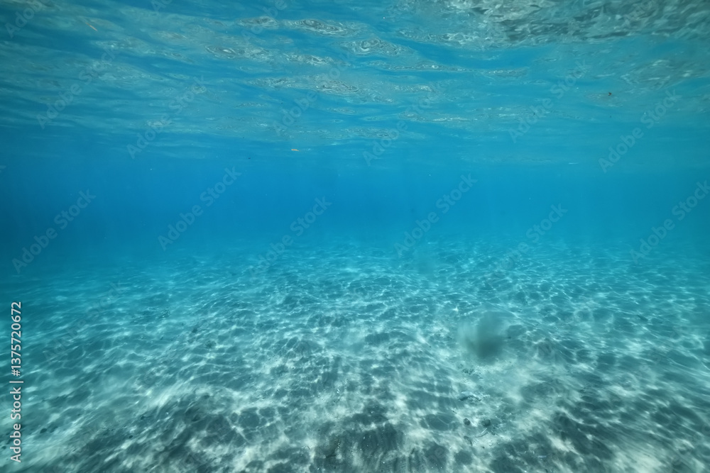underwater photo blue background panorama ocean surface and bottom of the sea underwater photo blue background panorama ocean surface and bottom of the sea