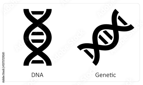 DNA and Genetic
