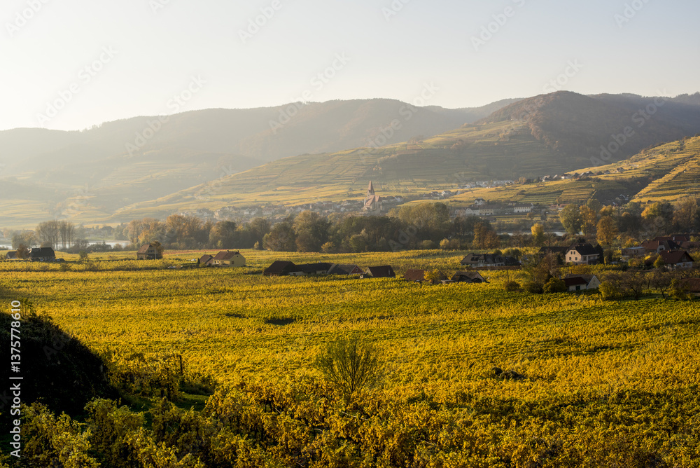Obraz premium UNESCO Weltkulturerbe, Wachau, Weissenkirchen, NIederösterreich