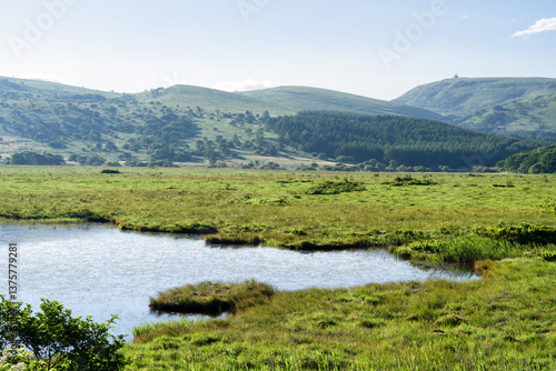 Wallpaper Mural 長野県下諏訪町　夏の八島ヶ原湿原 Torontodigital.ca
