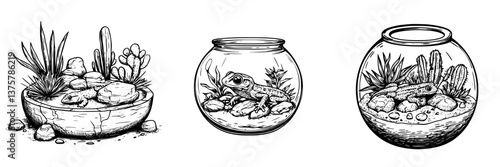 Creative terrarium designs featuring plants and reptiles in artistic sketches showcasing nature's beauty