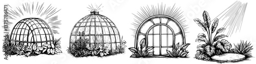 Illustrations of various greenhouse designs showcasing different shapes and structures during daylight hours