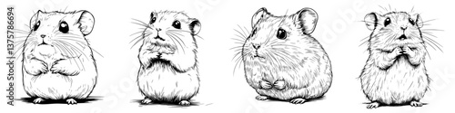 Cute hamsters in various poses showcasing their playful nature in a black and white illustration