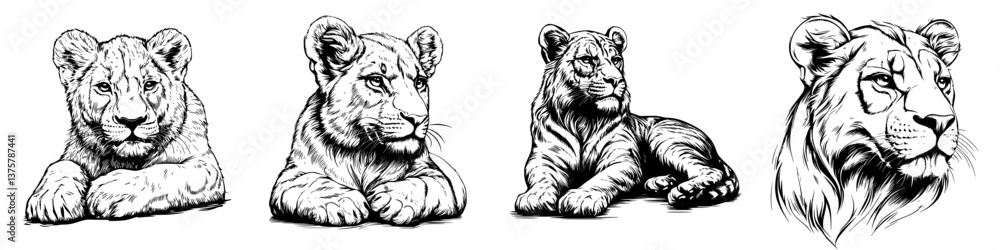Fototapeta premium Lions illustrated in various poses showcasing their regal presence and playfulness in wildlife art