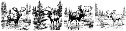 Moose standing by a river surrounded by trees and mountains during daytime in a natural habitat setting