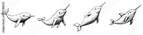 Illustrations of narwhals swimming gracefully in ocean waters showcasing their unique tusks and playful demeanor
