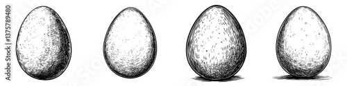 Different shapes and sizes of eggs illustrated against a plain background showcasing variation and texture details