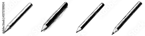 Drawing process showing the development of a pencil illustration from beginning to finish, highlighting the stages of sketching and detailing