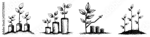 Growth stages of plants illustrated in black and white showcasing development from seedlings to mature plants