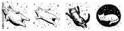 Cats floating in the cosmos, capturing the whimsical beauty of space with playful charm and artistry