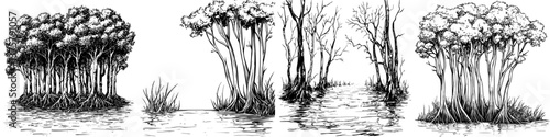 Illustration of various swamp tree formations in different environments showcasing unique flora and water settings