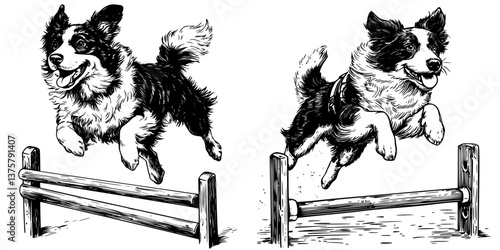 Dogs jumping over hurdles in an outdoor agility training session in a park