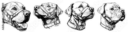 Detailed illustrations of different dog breeds wearing harnesses and muzzles reflect their unique characteristics and expressions