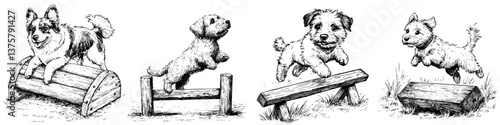 Cute dogs practicing agility jumps in a park during a sunny afternoon with playful energy and excitement