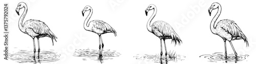 Illustration of flamingos in various poses in a natural habitat by a water source during daylight hours