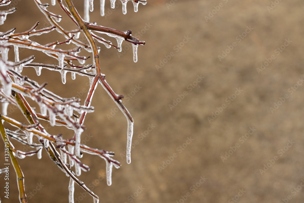 Obraz premium Winter's ice outdoors